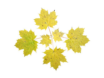 Similar image 21844258