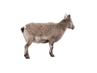 Similar image 21844259