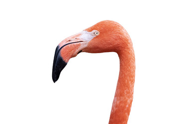 Similar image 21844266