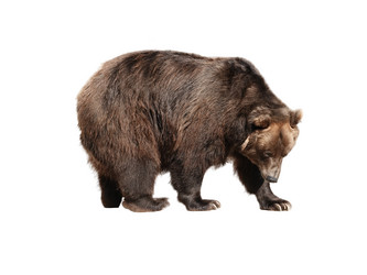 Similar image 21844267