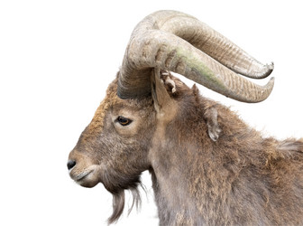 Similar image 21844269