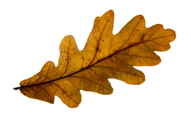 Similar image 21844275