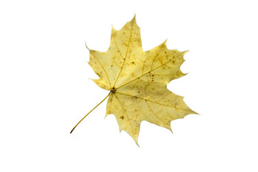 Similar image 21844276