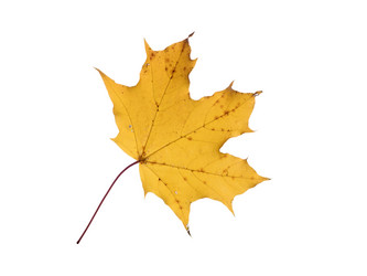 Similar image 21844280