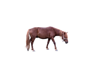 Similar image 21844504