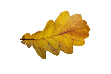 Similar image 21844505