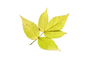 Similar image 21844509