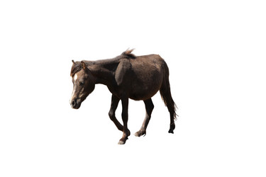 Similar image 21844512