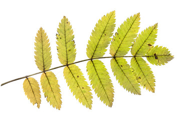 Similar image 21844513