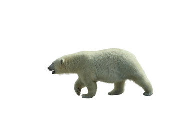 Similar image 21844516