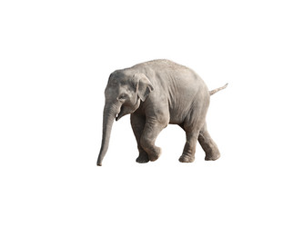 Similar image 21844520