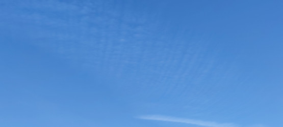 Similar image 21833971