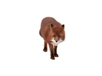 Similar image 21844684