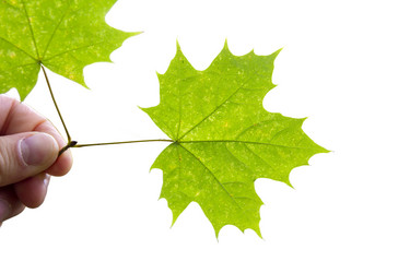 Similar image 21844695