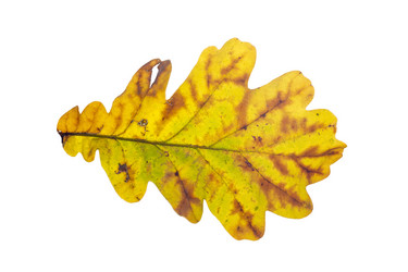 Similar image 21844697