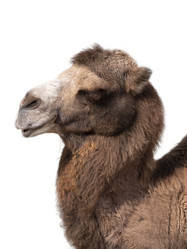 Similar image 21844704