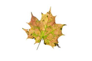 Similar image 21844705