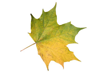 Similar image 21844707