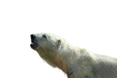 Similar image 21844708