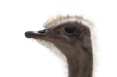 Similar image 21844711