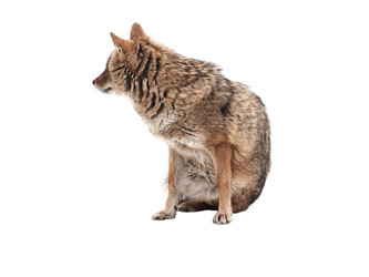 Similar image 21844715