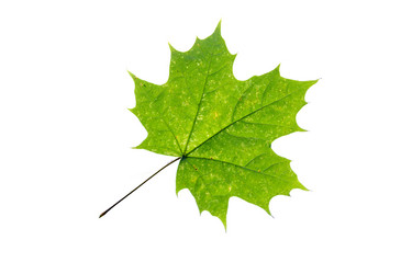 Similar image 21844721