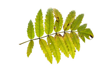 Similar image 21844722