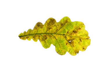 Similar image 21844723