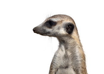 Similar image 21844728