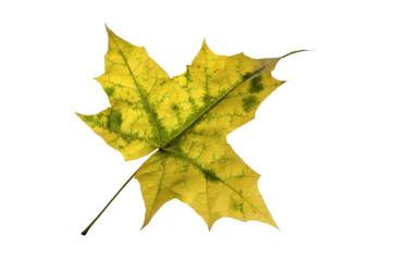 Similar image 21844729