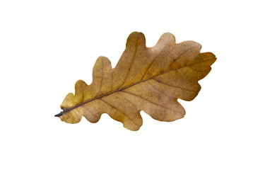 Similar image 21844730