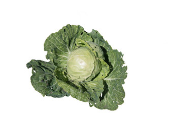 Similar image 21844733