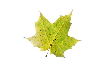 Similar image 21844744