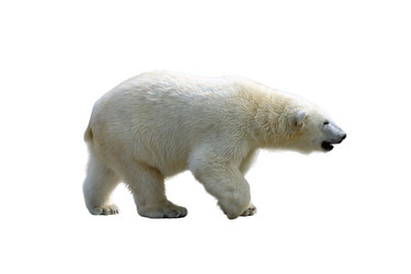 Similar image 21844745