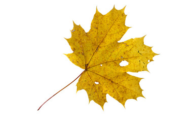 Similar image 21844746