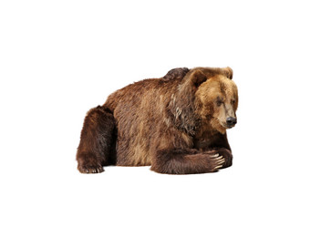 Similar image 21844748