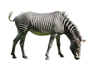 Similar image 21844287