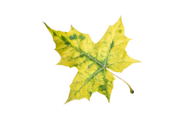 Similar image 21844290