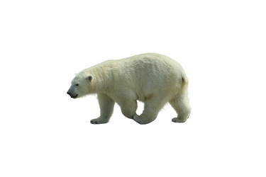 Similar image 21844291