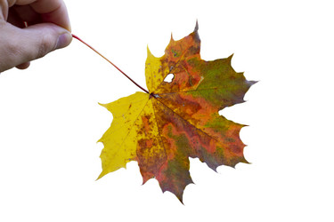 Similar image 21844293