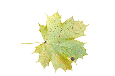 Similar image 21844295