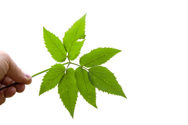 Similar image 21844296