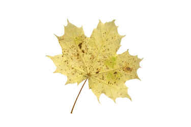 Similar image 21844298