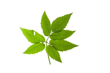 Similar image 21844299