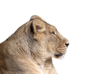 Similar image 21844300