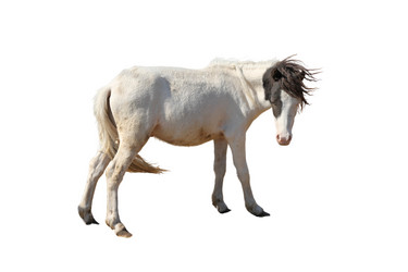 Similar image 21844301