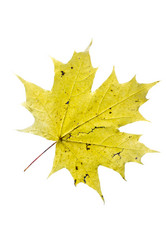 Similar image 21844310