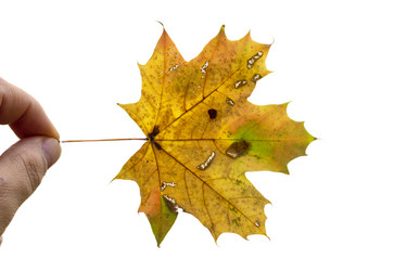 Similar image 21844312