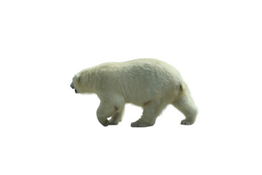 Similar image 21844313