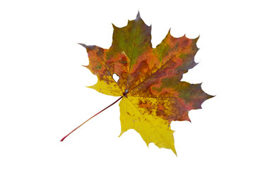 Similar image 21844316